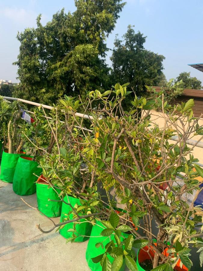 Bed & Chai Guesthouse Nowe Delhi Zewnętrze zdjęcie