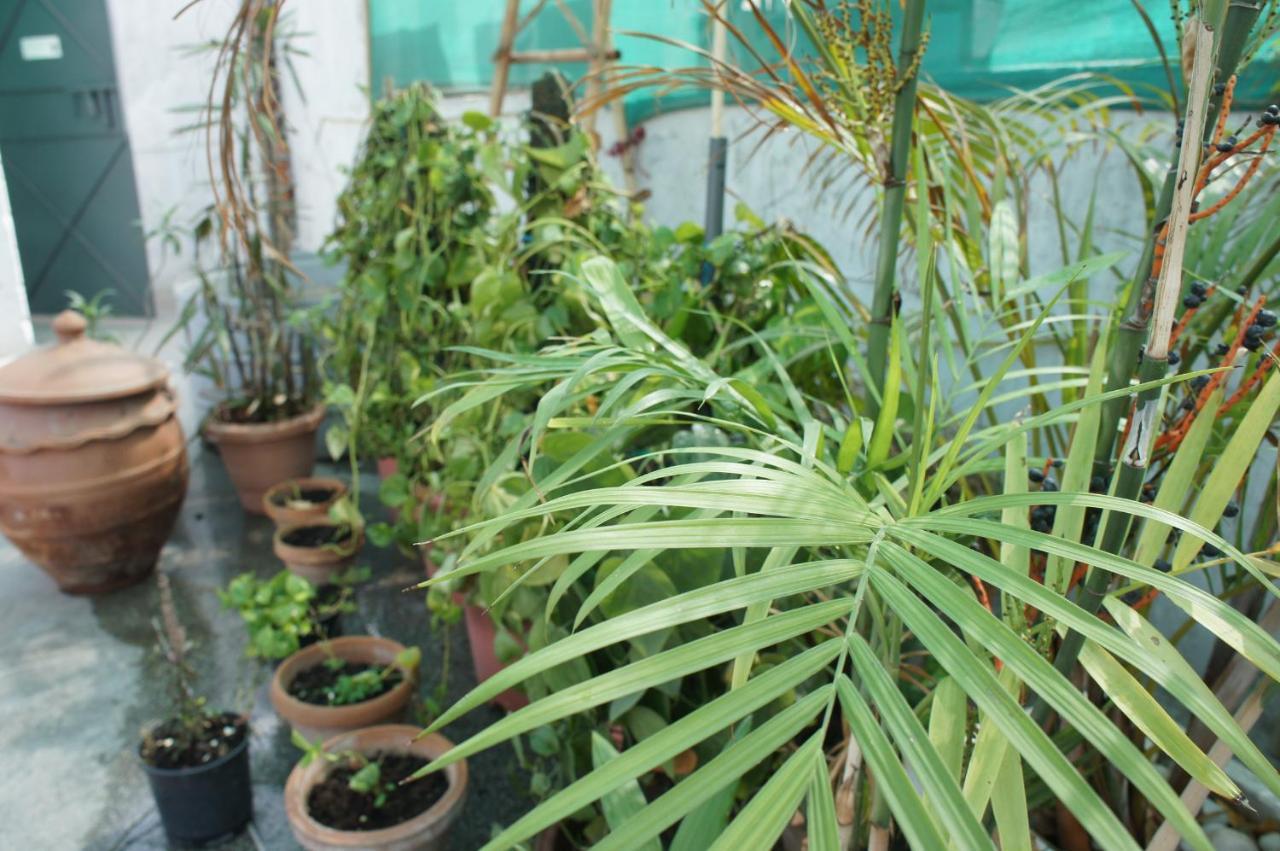 Bed & Chai Guesthouse Nowe Delhi Zewnętrze zdjęcie